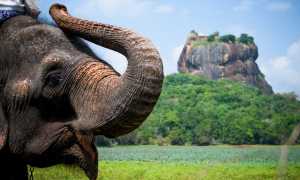 Въезд на Шри-Ланку для россиян: виза по прилету или электронное разрешение ETA