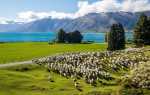 Как оформить визу в Новую Зеландию в 2020 году?
