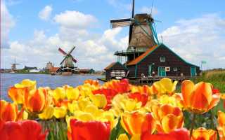 Как получить визу в Голландию (Нидерланды) для россиян в 2020 году?